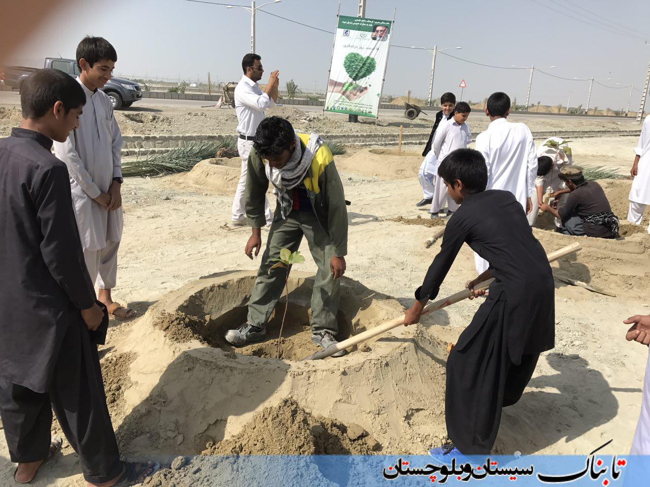 مراسم روز درختکاری در چابهار/ باغ ایرانی در سومین قطب پتروشیمی ایران